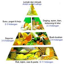 Piramid Makanan  WELCOME TO MY SWEET HOME SCIENCE